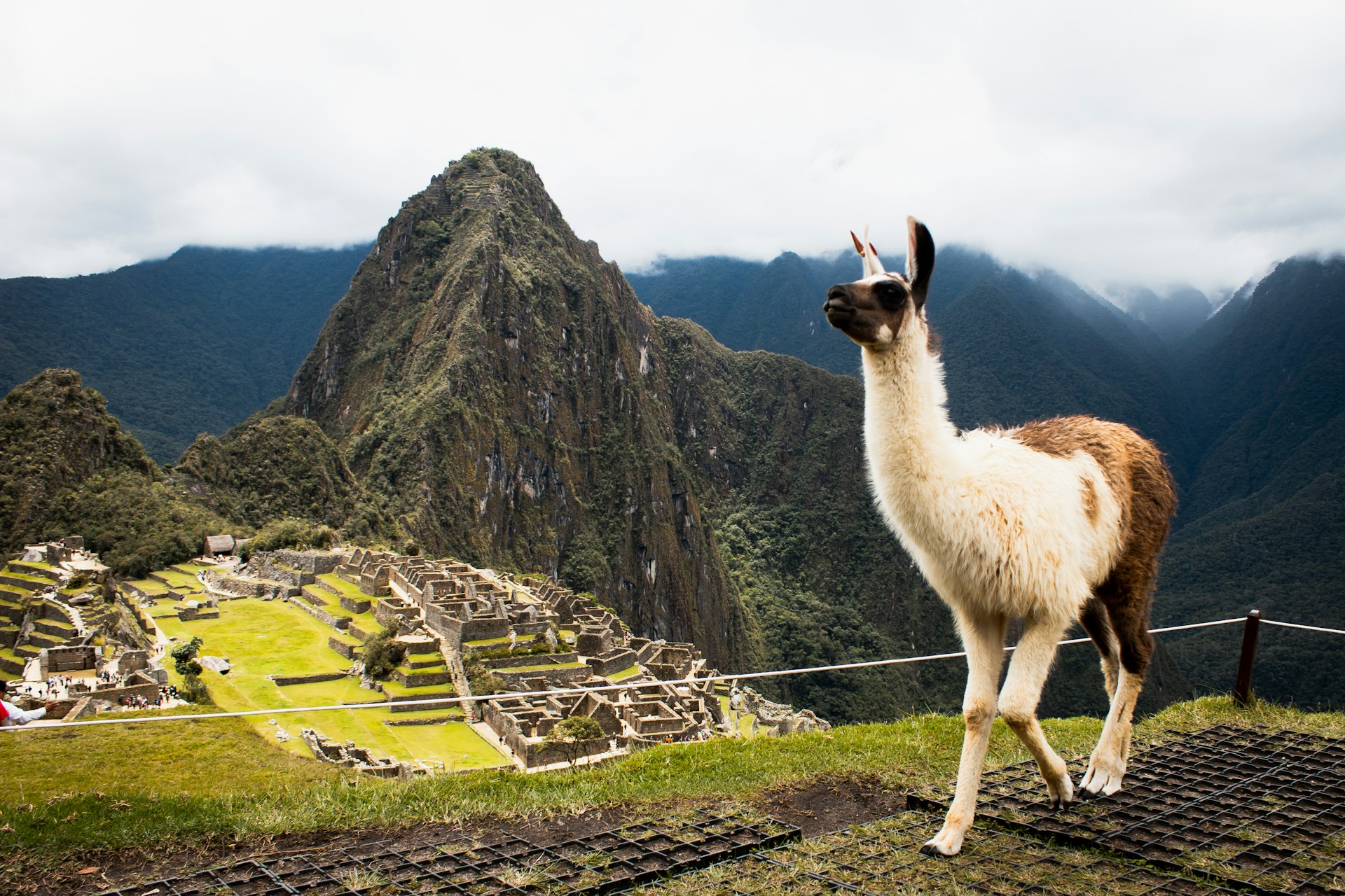 Farby Peru (3.5. - 19.5.2027)
